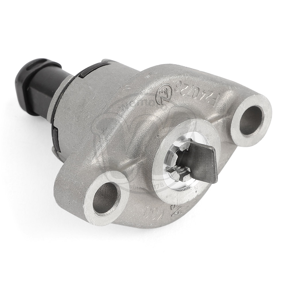 Catena Distribuzione Montaggio Tenditore